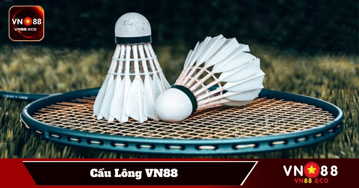 Các loại kèo cầu lông phổ biến và cách đọc kèo chuẩn